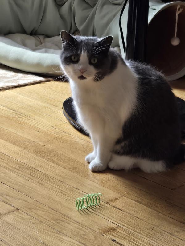 Lizzybet