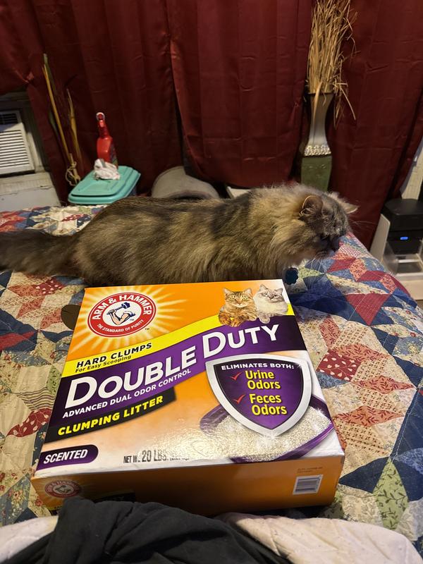 best cat litter box liners Jumbo Cat Litter Box Liners