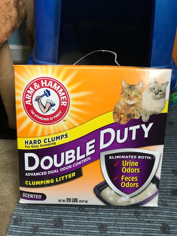 Double duty clearance cat litter