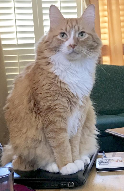 Photo - commentaire 3.