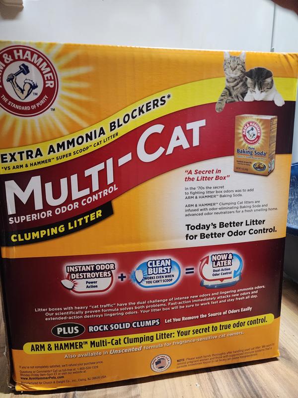 Photo - commentaire&nbsp;2.