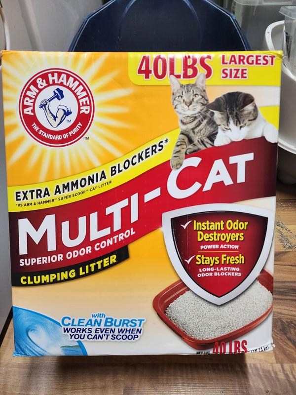 Photo - commentaire&nbsp;1.