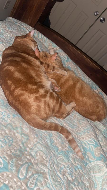 My boys