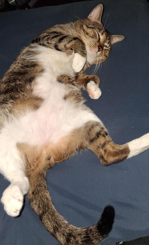 Coming home after a long day...