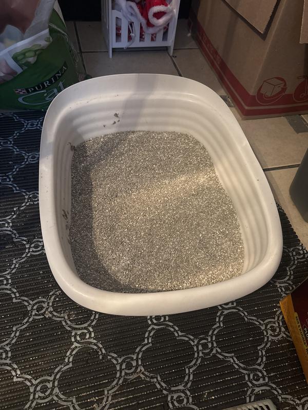 Photo - commentaire 1.