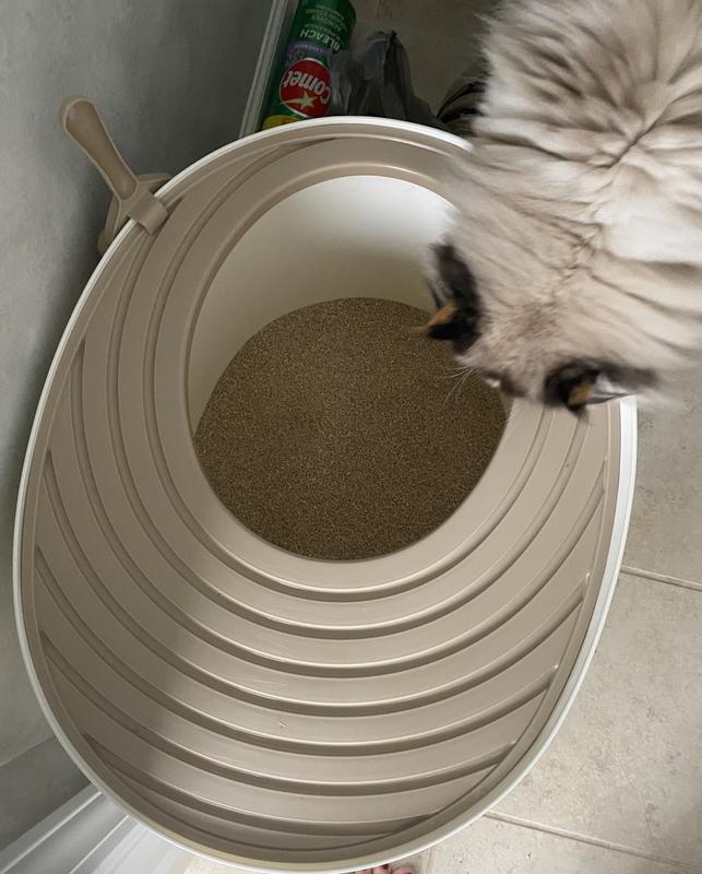 best cat litter box for car trip Portable Litterbox & Litter Bag Kit for Travel