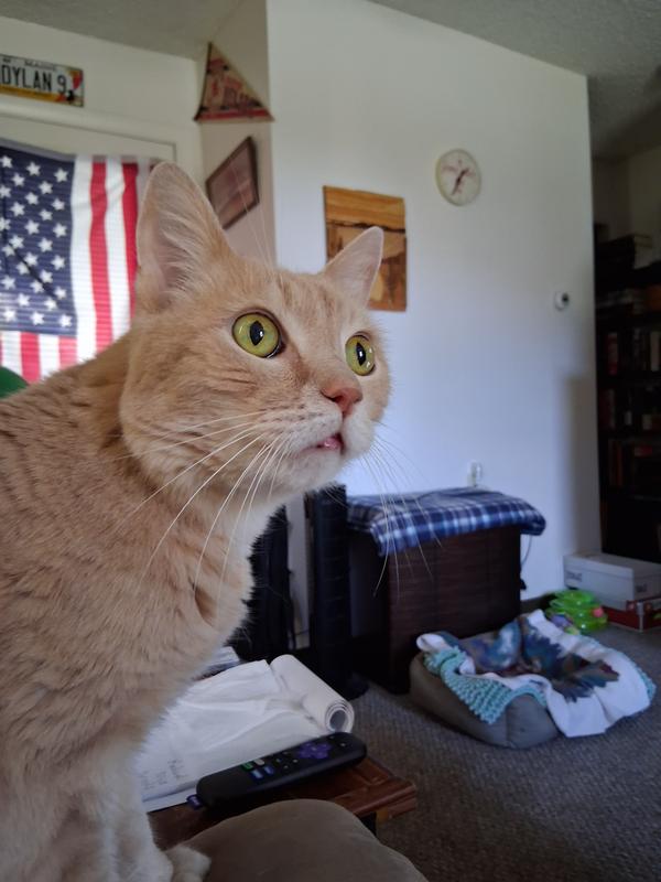 Photo - commentaire&nbsp;1.