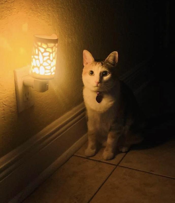 Night light