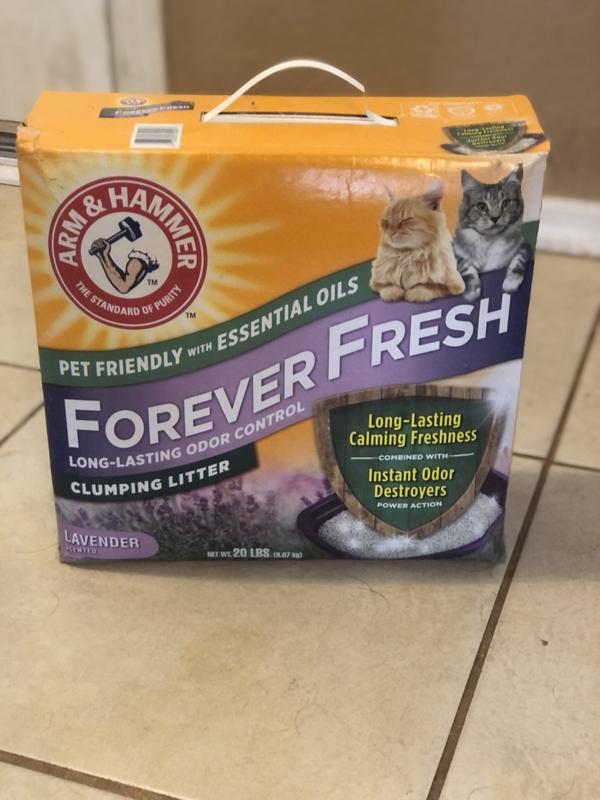 Arm & hammer essentials cat litter hotsell