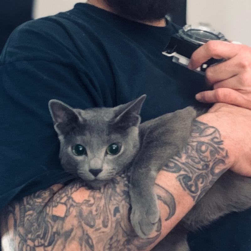 Arm & Hammer Clump & Seal MultiCat Odor Sealing Cat Litter, 28 lbs