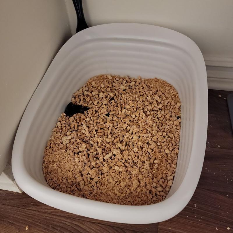 Easy clean pine outlet cat litter