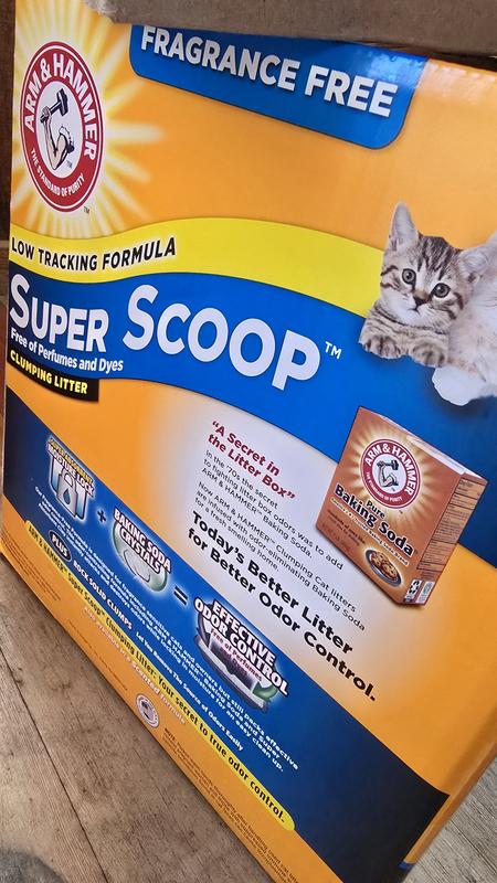 Photo - commentaire&nbsp;1.