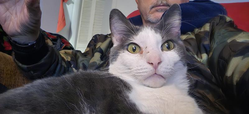 Photo - commentaire 5.