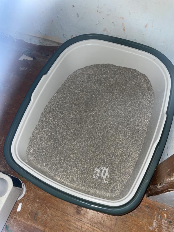Litter box one