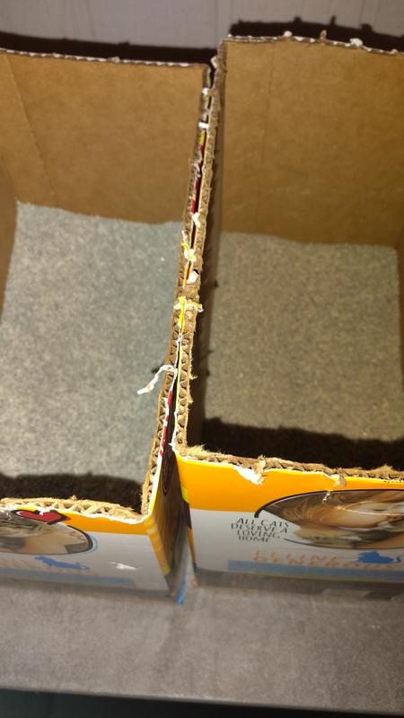 Photo - commentaire 1.