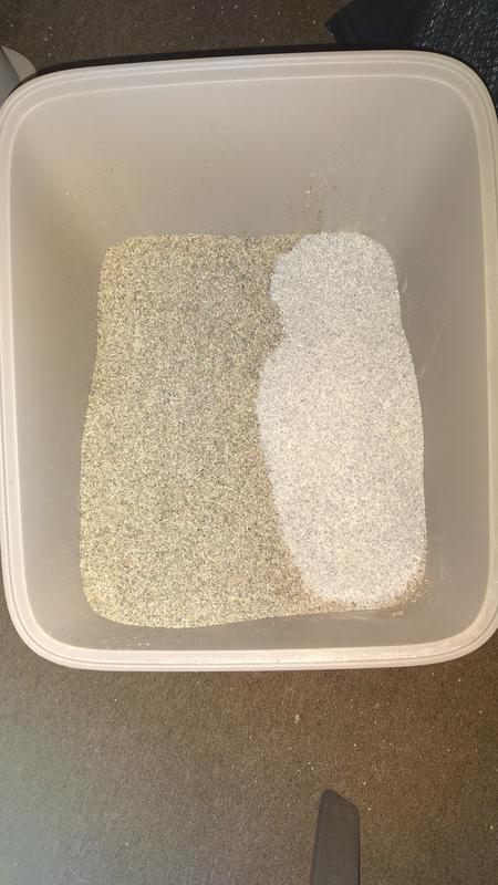 Photo - commentaire 2.