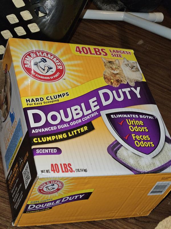 Photo - commentaire 3.