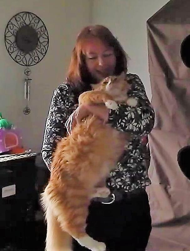 Photo - commentaire 6.