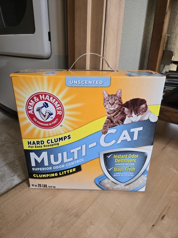 Clumping Litter Argos Cat Litter The 10 Best Clumping Cat Litters