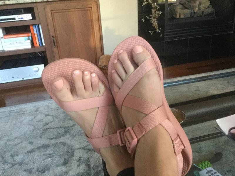 Chaco Chromatic Z 1 Classic Sandal Women s Footwear