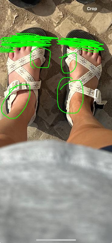 Photo submitted with review of product
