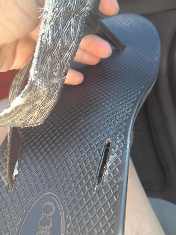 Review Thumbnail Image 0 383303486