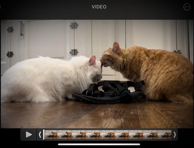 Photo submitted with review of product