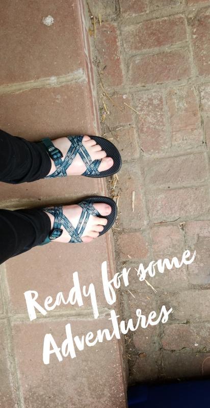Chaco ZX/2 Classic Sandal - Women's - Footwear