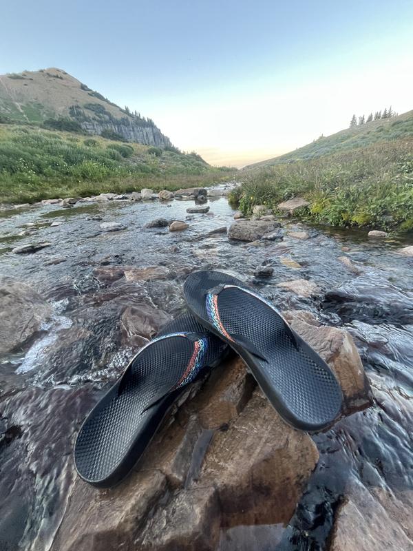 Customer photo for "Versatile and sturdy"