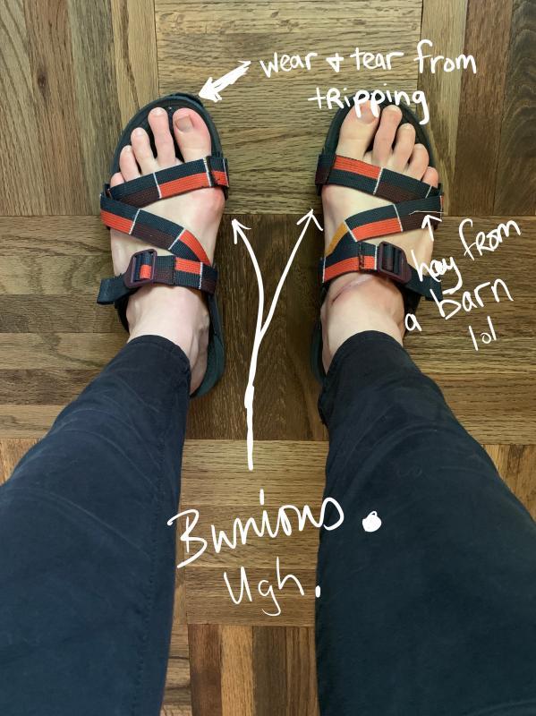 Photo submitted with review of product