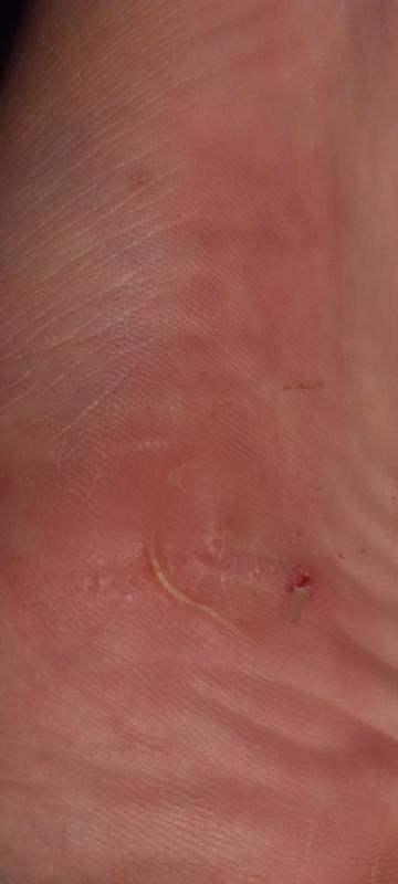 Review Thumbnail Image 0 384856061