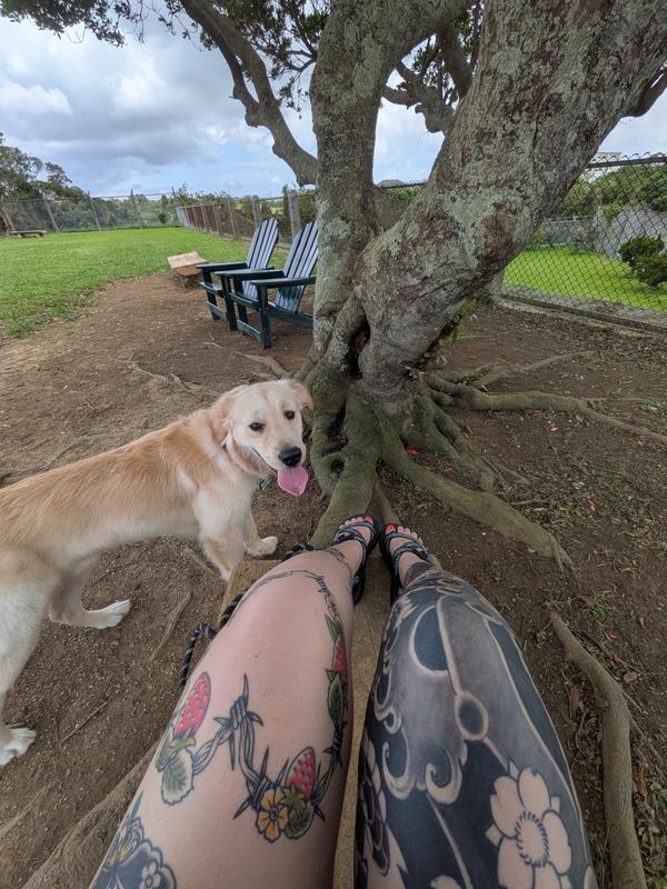 Customer photo for "Toe loop for the win"