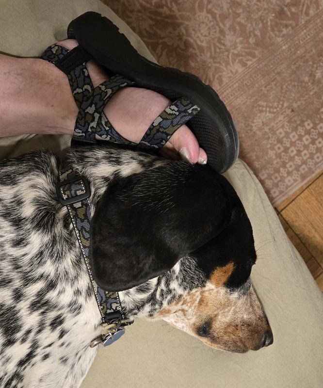 Customer photo for "Matching shoes and collar"