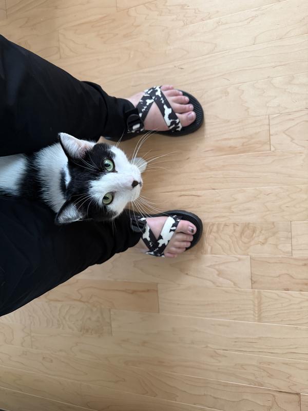 Customer photo for "Super cute cow print! Excellent shoes!"
