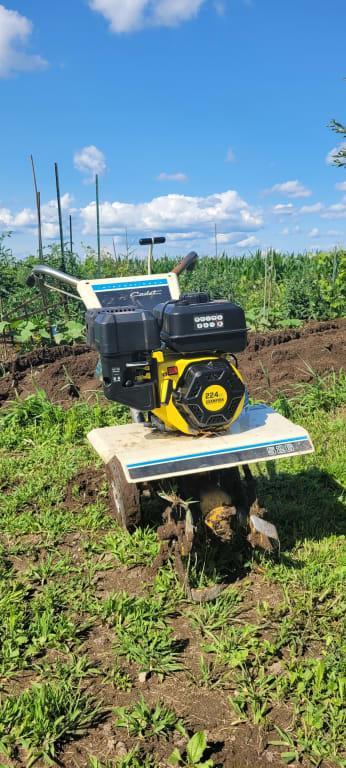 Photo - commentaire&nbsp;2.