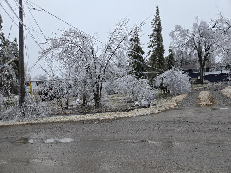 Photo - commentaire 6.