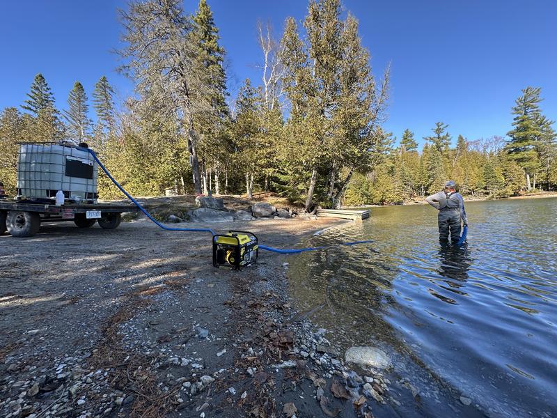 Photo - commentaire&nbsp;5.