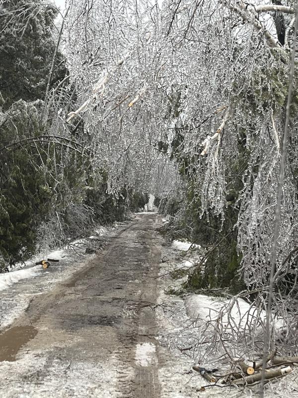 Photo - commentaire 7.