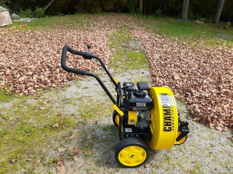 224cc Walk-Behind Leaf Blower - 201529 - Champion Power Equipment