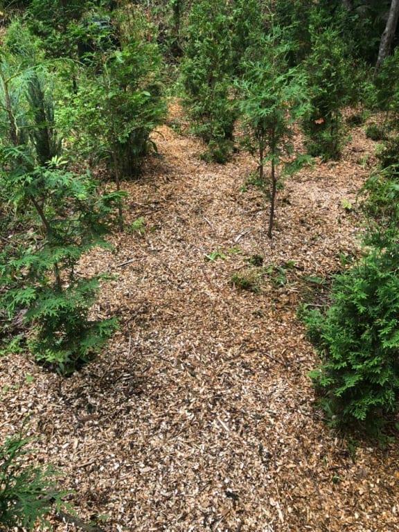 there is the result of the good work!