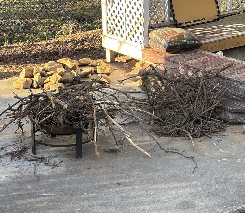 Machine tore through these and I pulled them up after