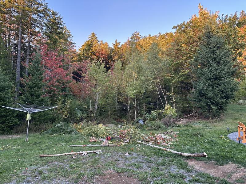 Photo - commentaire 2.