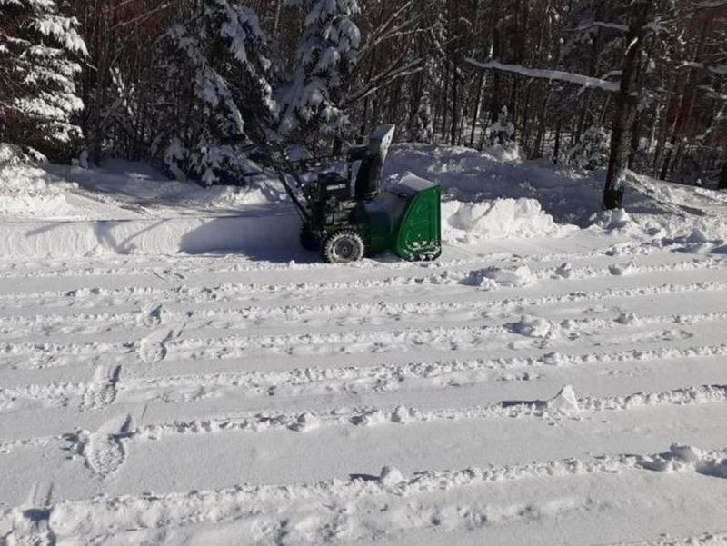 Clearing Carport Roof