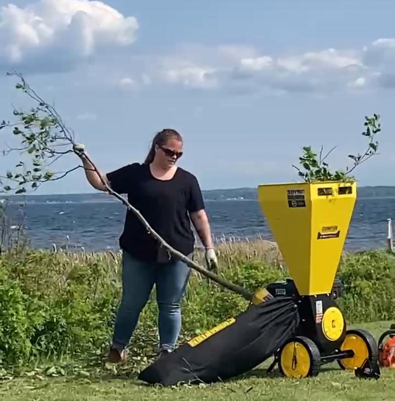 Photo - commentaire 5.