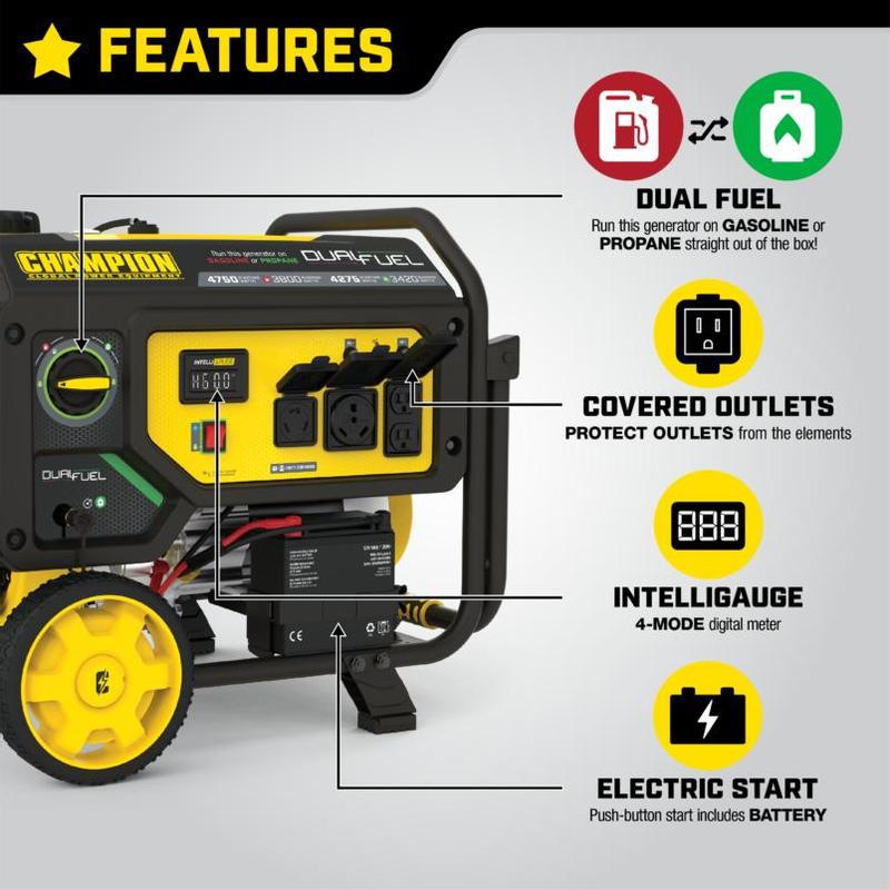 usaco.　36 3800W Electric Start Dual Fuel Generator - 201052 - Champion