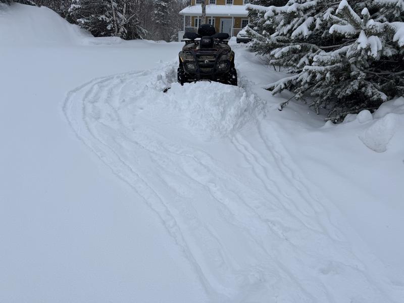 Lots of snow this year!