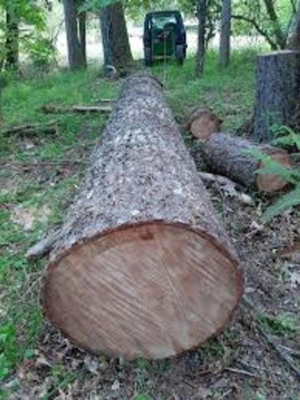 Photo - commentaire&nbsp;1.