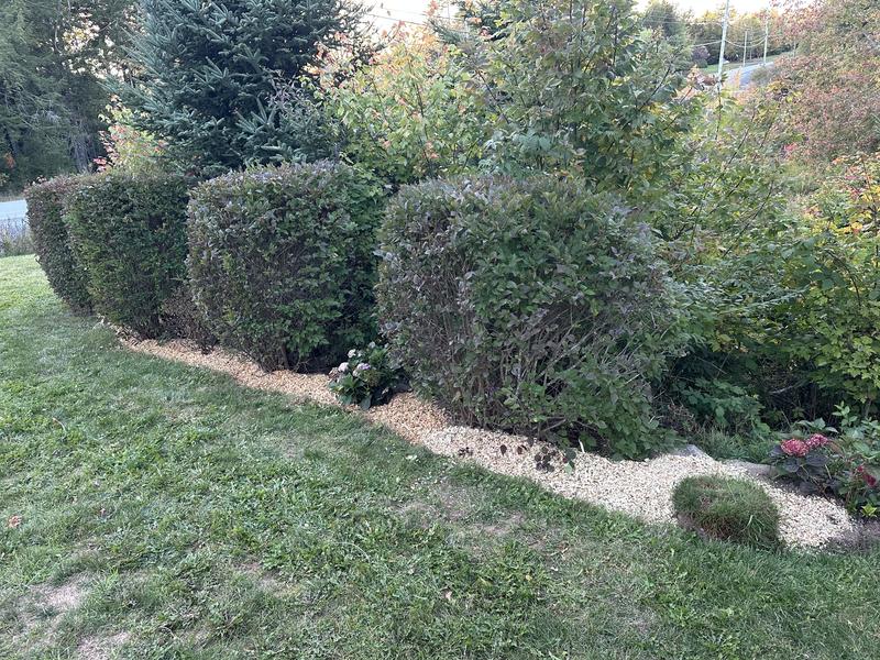 Photo - commentaire 1.