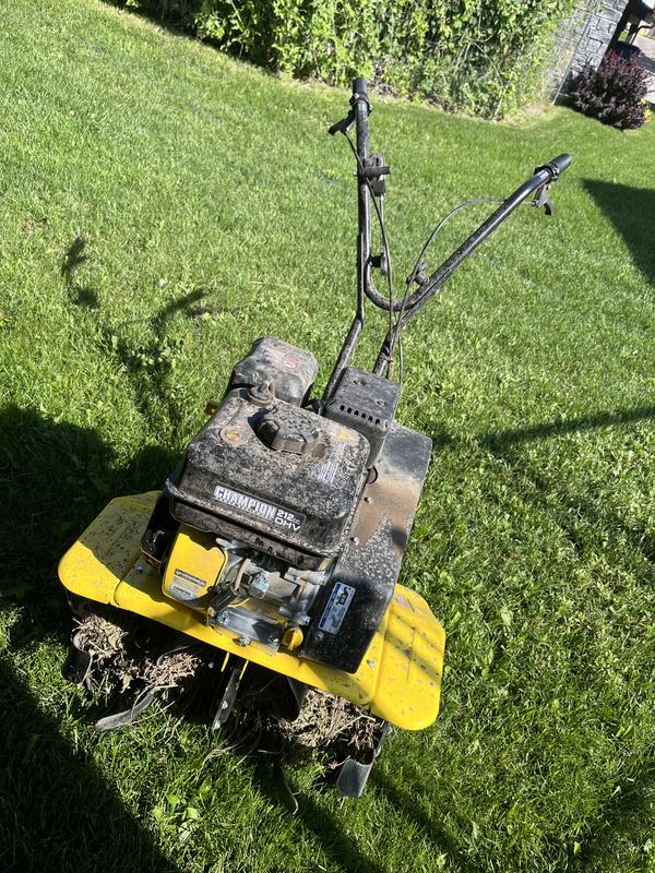 Photo - commentaire&nbsp;5.