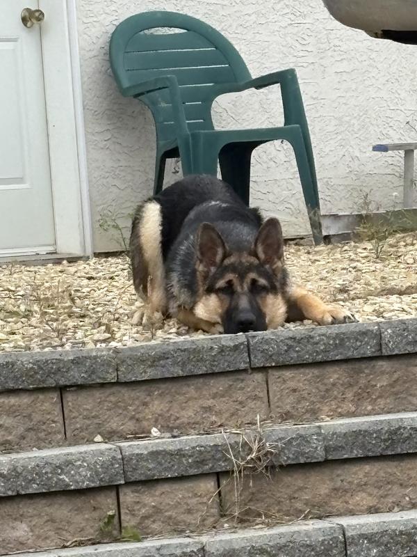 Photo - commentaire&nbsp;1.